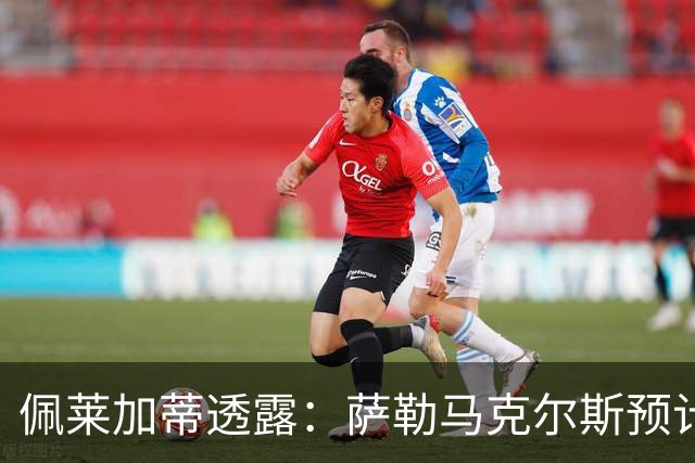 佩莱加蒂透露：萨勒马克尔斯预计缺阵三至四个月