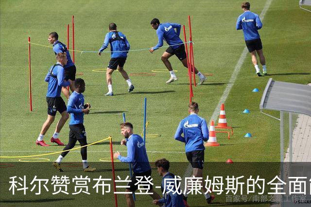 科尔赞赏布兰登-威廉姆斯的全面能力与重要性